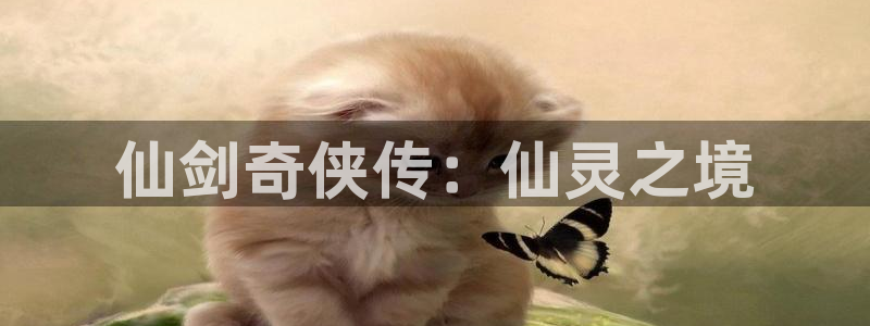 动漫天堂每日推荐：仙剑奇侠传：仙灵之境配图