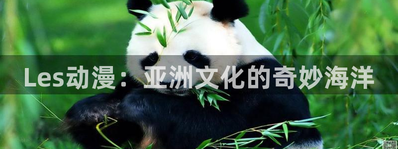 动漫天堂动漫有哪些：Les动漫：亚洲文化的奇妙海洋配图