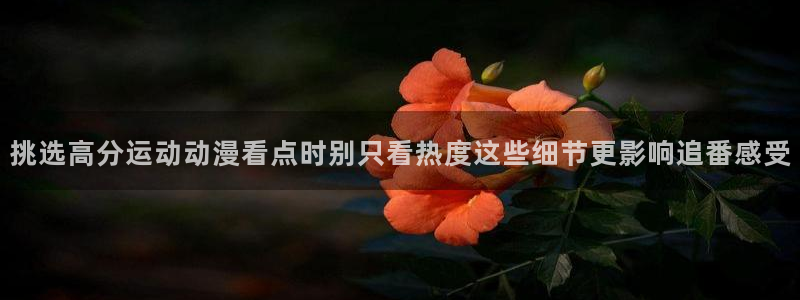 动漫天堂网站:挑选高分运动动漫看点时别只看热度这些细节更影响追番感受配图