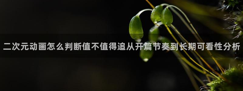 动漫天堂有什么好看的动漫:二次元动画怎么判断值不值得追从开篇节奏到长期可看性分析配图