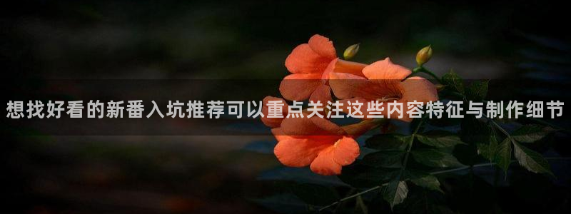 动漫天堂高清动漫:想找好看的新番入坑推荐可以重点关注这些内容特征与制作细节配图