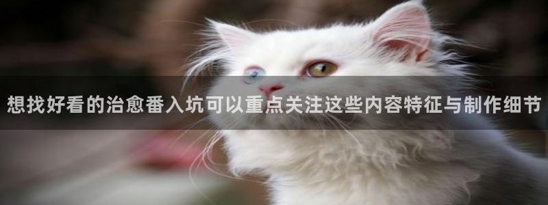 动漫天堂免费观看动漫全集:想找好看的治愈番入坑可以重点关注这些内容特征与制作细节配图