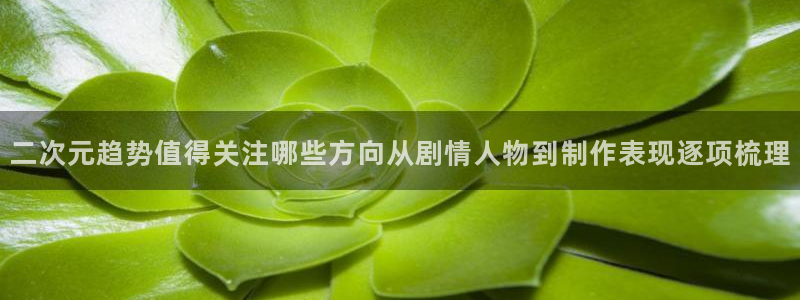 动漫天堂国漫推荐:二次元趋势值得关注哪些方向从剧情人物到制作表现逐项梳理配图