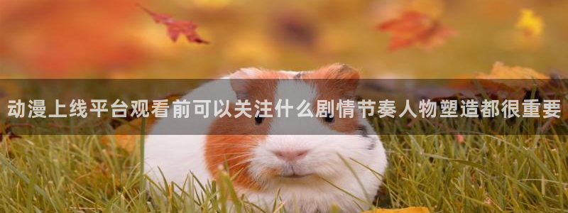 2026动漫天堂免费观看:动漫上线平台观看前可以关注什么剧情节奏人物塑造都很重要配图