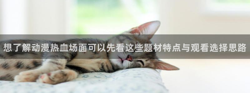 动漫天堂动画:想了解动漫热血场面可以先看这些题材特点与观看选择思路配图