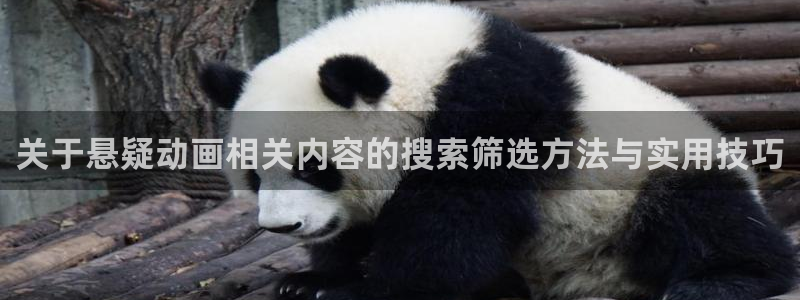 2026动漫天堂国漫:关于悬疑动画相关内容的搜索筛选方法与实用技巧配图