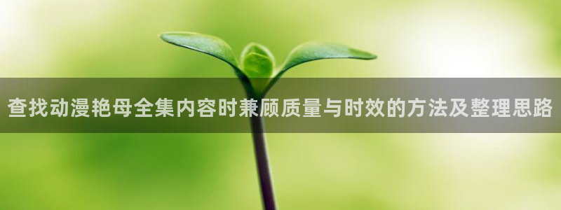动漫天堂推理动漫:查找动漫艳母全集内容时兼顾质量与时效的方法及整理思路配图