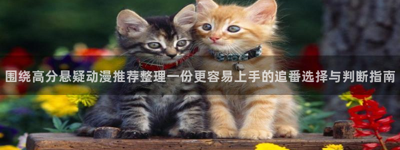 动漫天堂全集:围绕高分悬疑动漫推荐整理一份更容易上手的追番选择与判断指南配图