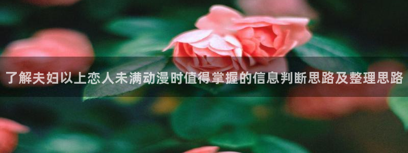 动漫天堂治愈动漫推荐：了解夫妇以上恋人未满动漫时值得掌握的信息判断思路及整理思路配图